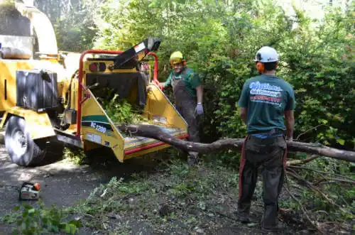 tree services Sardis City